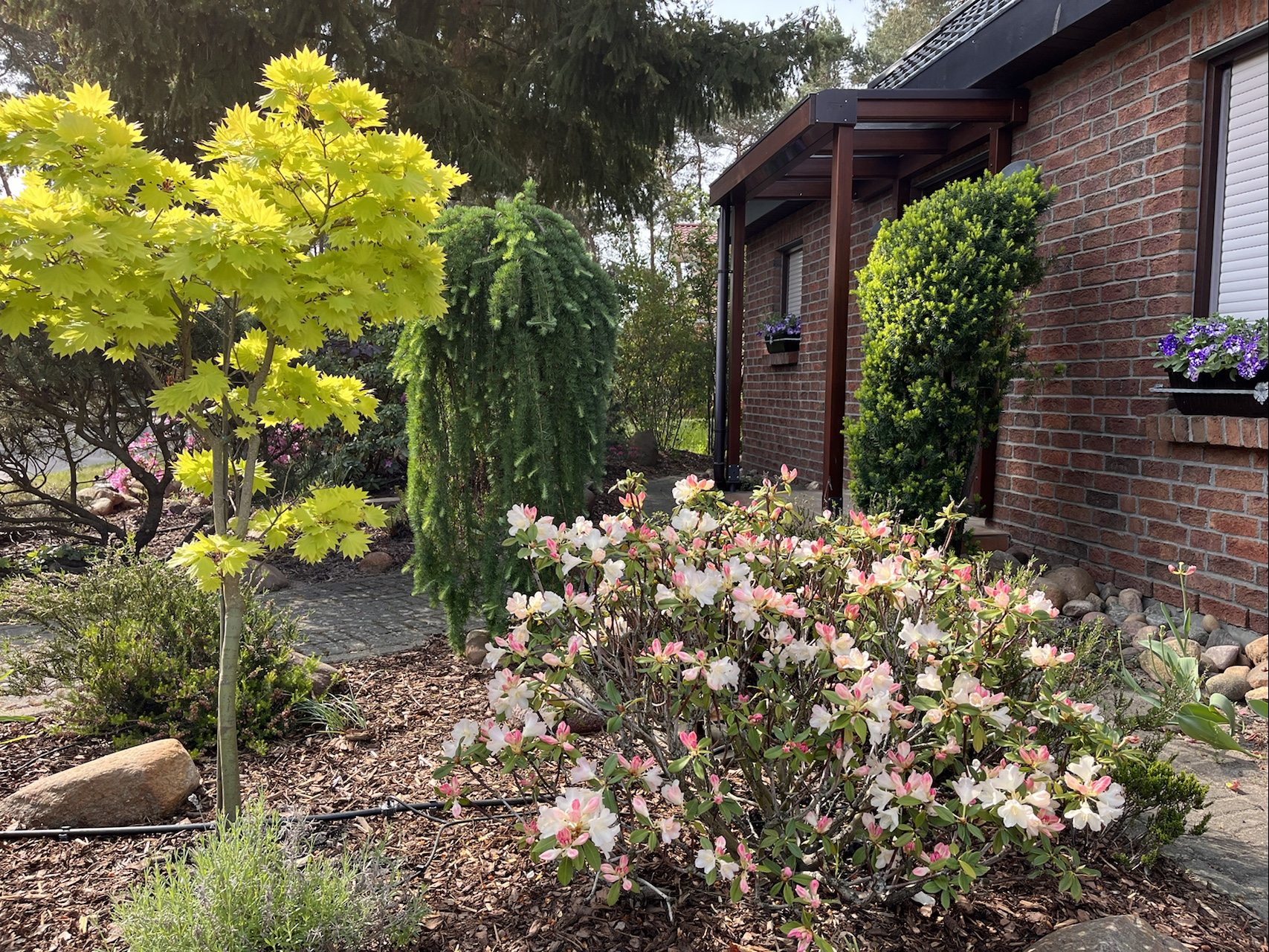 Hausfront mit Vorgarten